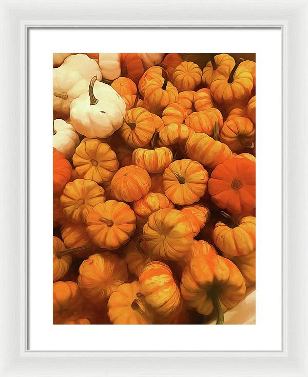 Pumpkins Tiny Gourds Pile - Framed Print