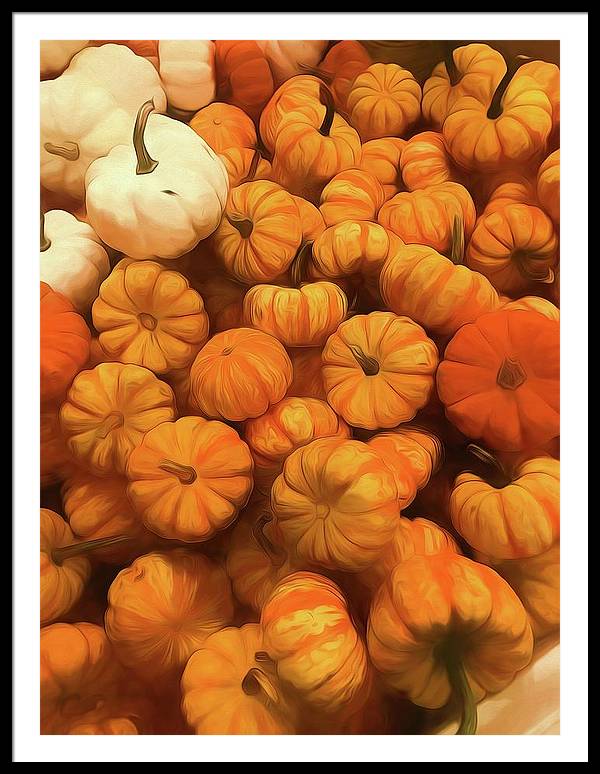 Pumpkins Tiny Gourds Pile - Framed Print