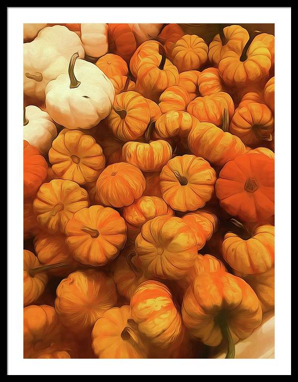 Pumpkins Tiny Gourds Pile - Framed Print
