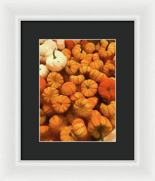 Pumpkins Tiny Gourds Pile - Framed Print