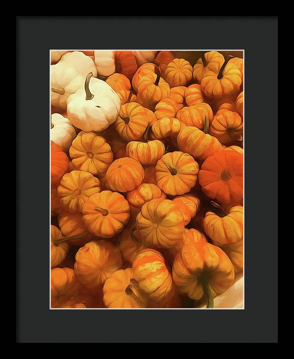 Pumpkins Tiny Gourds Pile - Framed Print