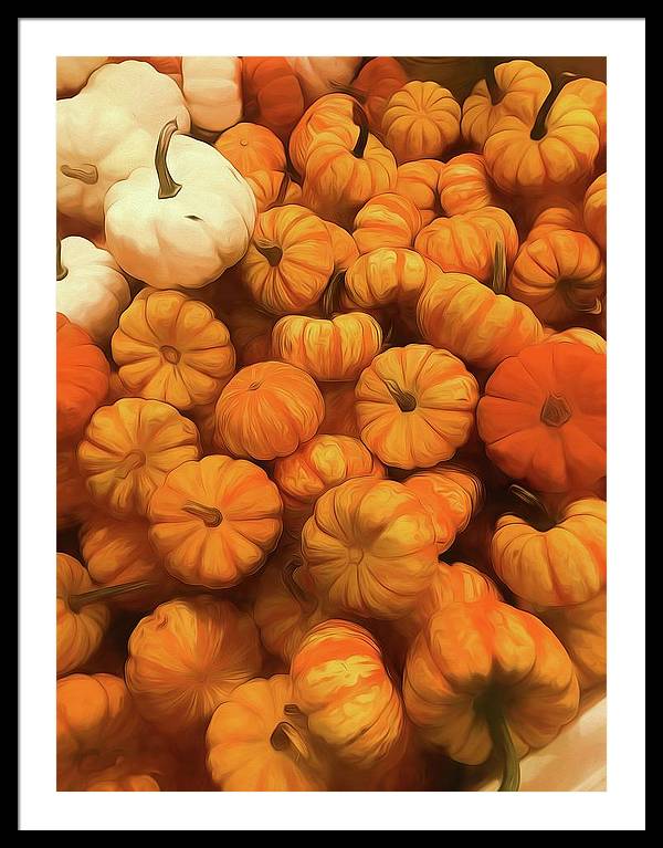 Pumpkins Tiny Gourds Pile - Framed Print