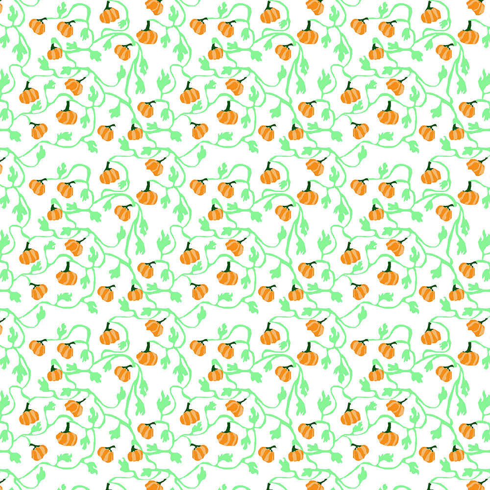 Pumpkin and Vines On White Digital Image Download