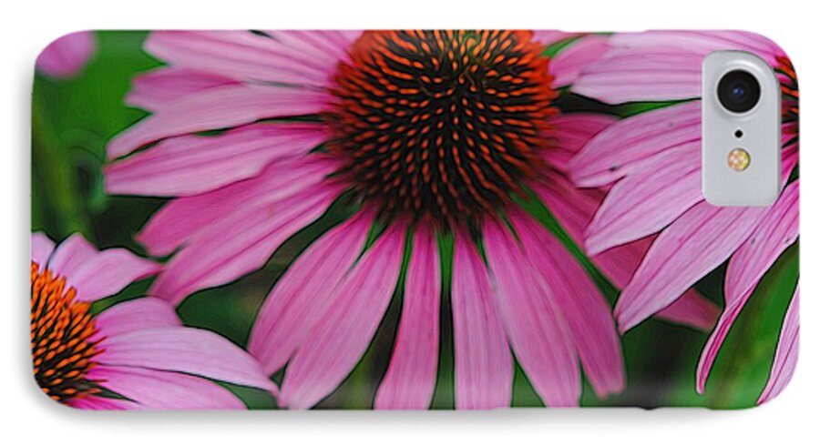 Purple Cone Flowers - Phone Case