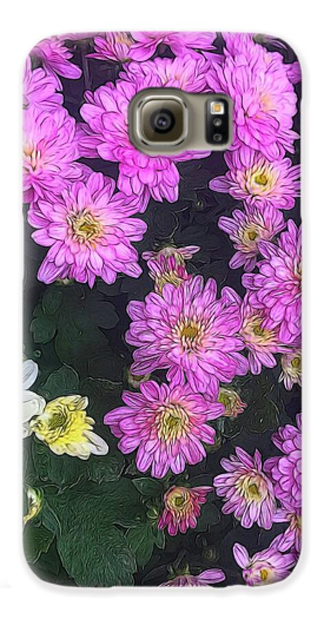 Purple Fall Mums - Phone Case