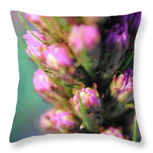 Purple Liatris - Throw Pillow