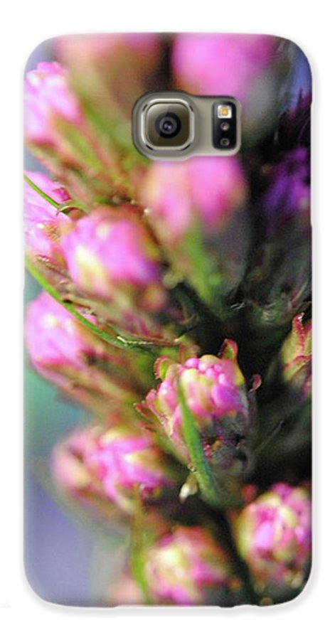 Purple Liatris - Phone Case