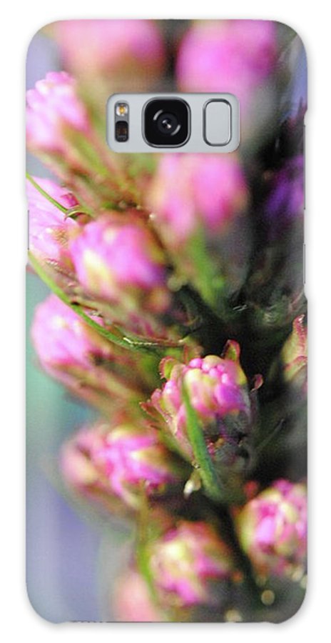 Purple Liatris - Phone Case