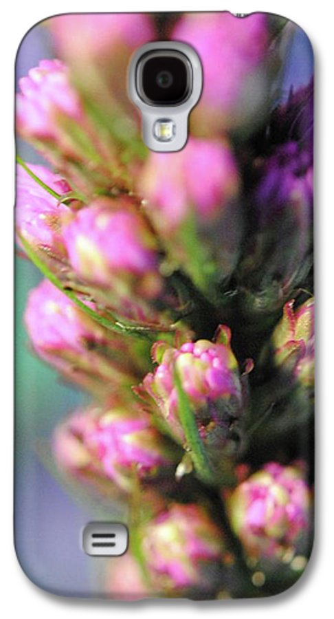 Purple Liatris - Phone Case