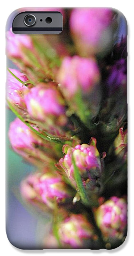 Purple Liatris - Phone Case