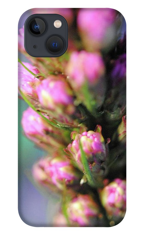 Purple Liatris - Phone Case