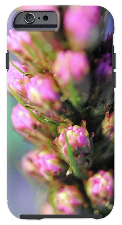 Purple Liatris - Phone Case