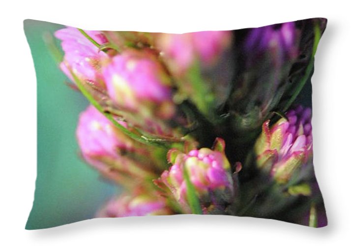 Purple Liatris - Throw Pillow