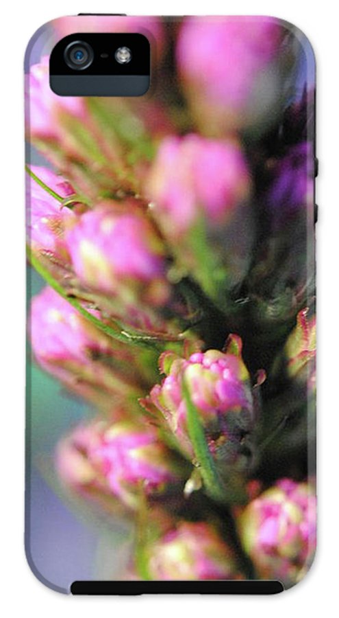 Purple Liatris - Phone Case
