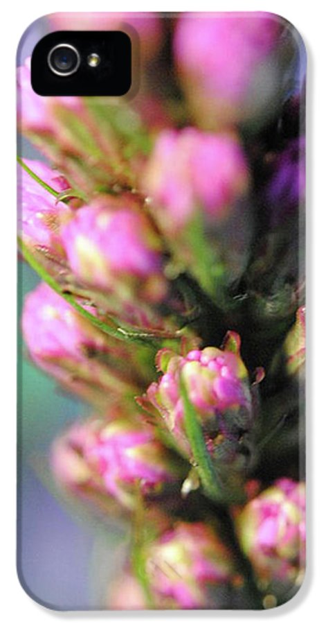 Purple Liatris - Phone Case