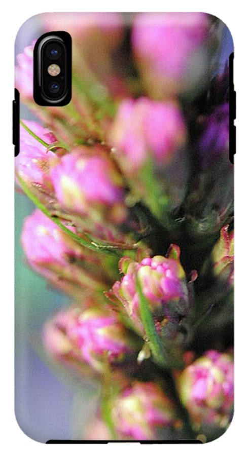 Purple Liatris - Phone Case