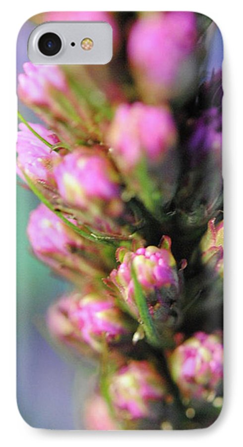 Purple Liatris - Phone Case