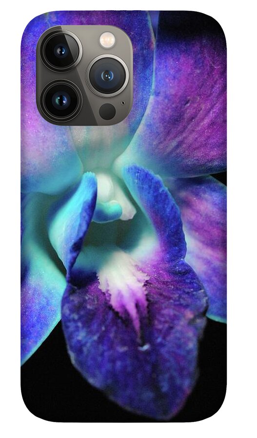 Purple Orchid Close up on Black - Phone Case