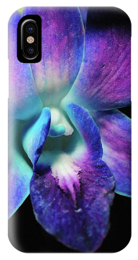 Purple Orchid Close up on Black - Phone Case