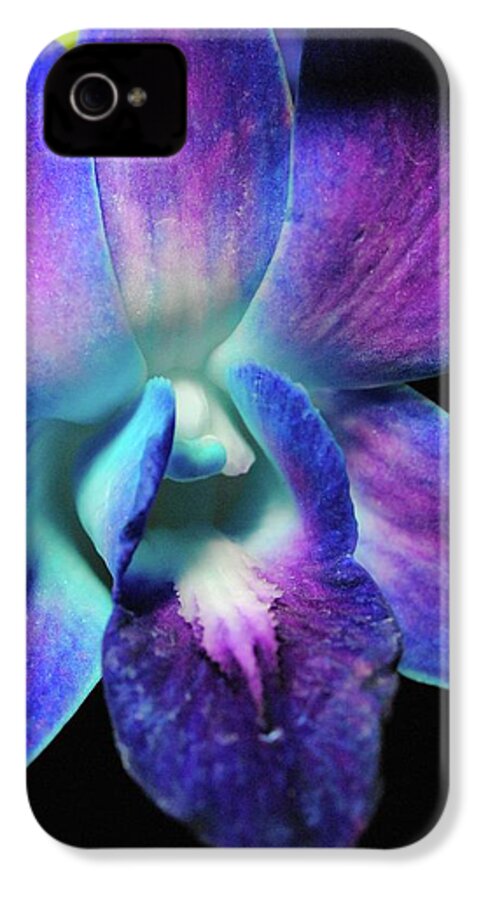 Purple Orchid Close up on Black - Phone Case
