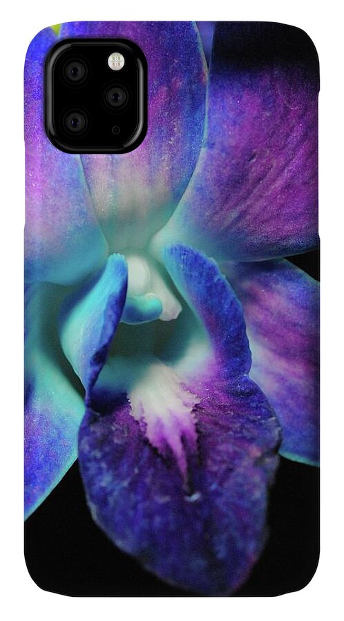 Purple Orchid Close up on Black - Phone Case