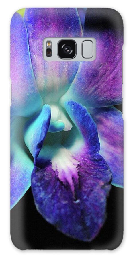 Purple Orchid Close up on Black - Phone Case