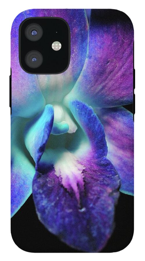 Purple Orchid Close up on Black - Phone Case