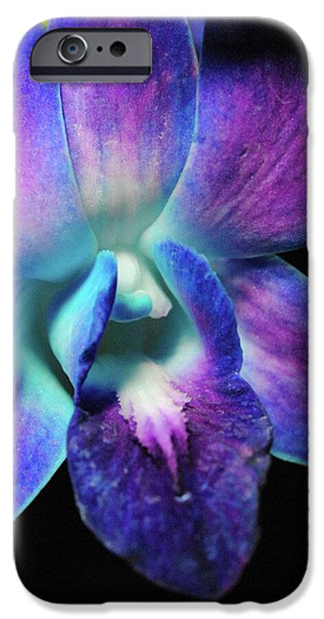 Purple Orchid Close up on Black - Phone Case