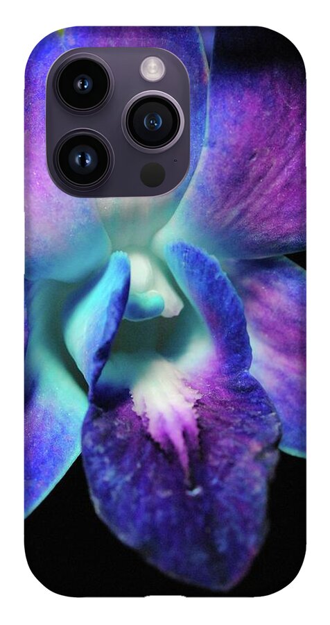 Purple Orchid Close up on Black - Phone Case