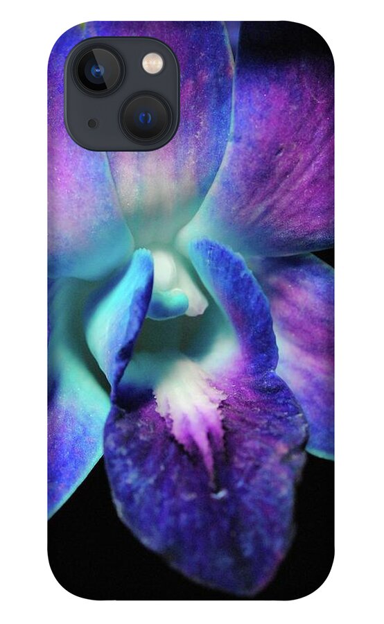Purple Orchid Close up on Black - Phone Case