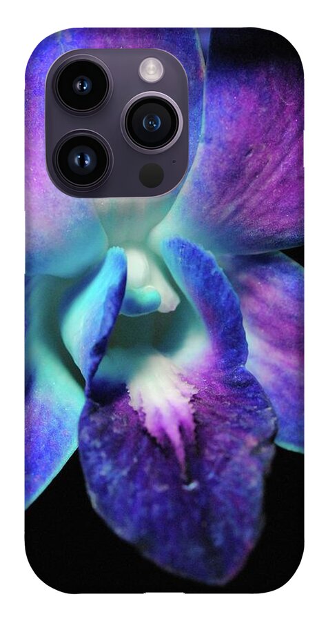Purple Orchid Close up on Black - Phone Case