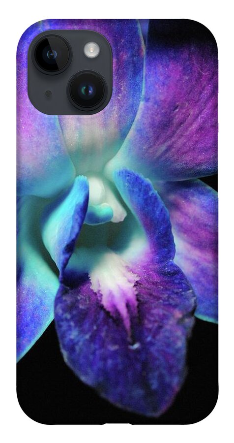 Purple Orchid Close up on Black - Phone Case