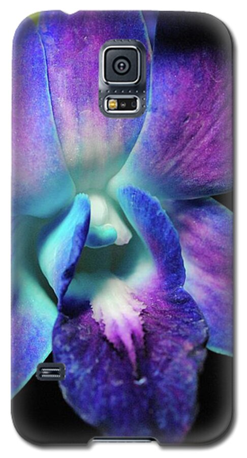 Purple Orchid Close up on Black - Phone Case