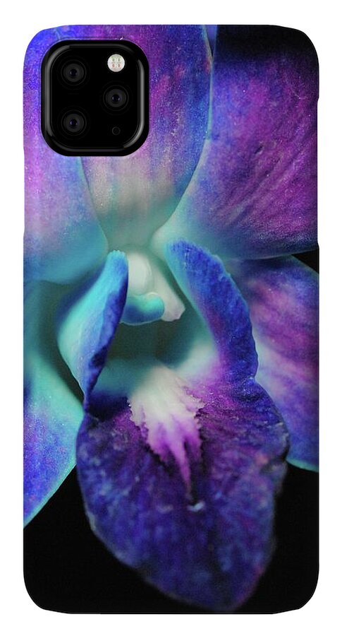 Purple Orchid Close up on Black - Phone Case