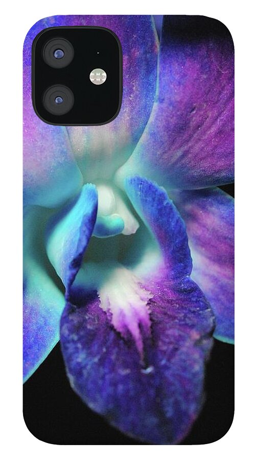 Purple Orchid Close up on Black - Phone Case