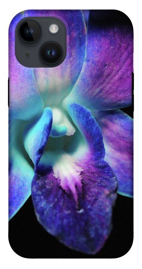 Purple Orchid Close up on Black - Phone Case
