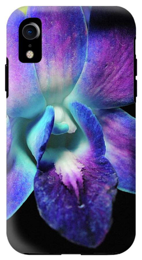Purple Orchid Close up on Black - Phone Case