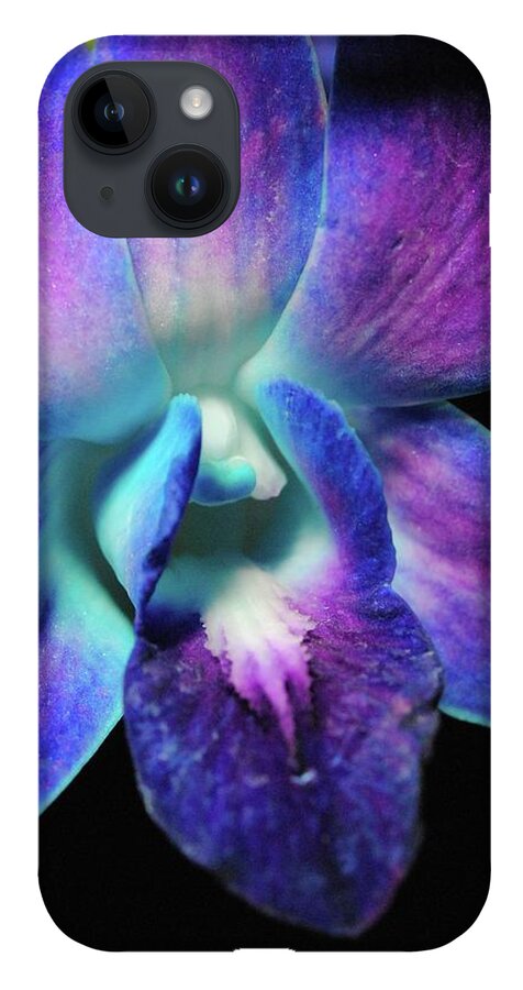 Purple Orchid Close up on Black - Phone Case