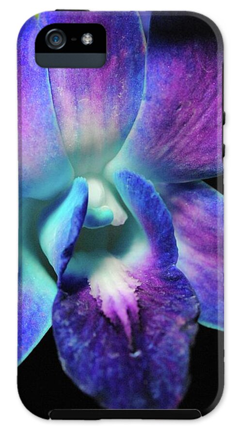 Purple Orchid Close up on Black - Phone Case