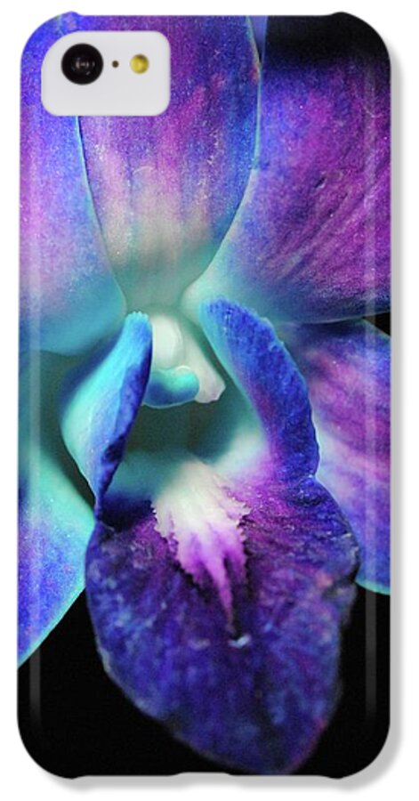 Purple Orchid Close up on Black - Phone Case