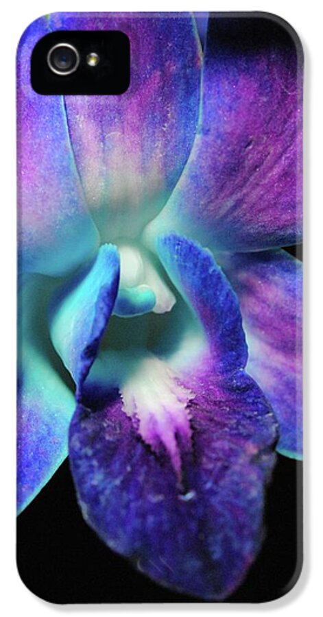 Purple Orchid Close up on Black - Phone Case