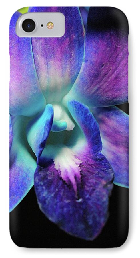 Purple Orchid Close up on Black - Phone Case