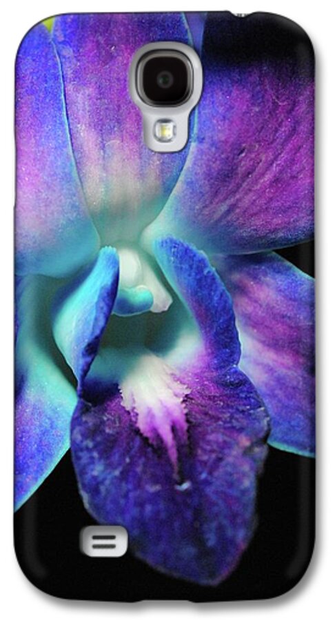 Purple Orchid Close up on Black - Phone Case