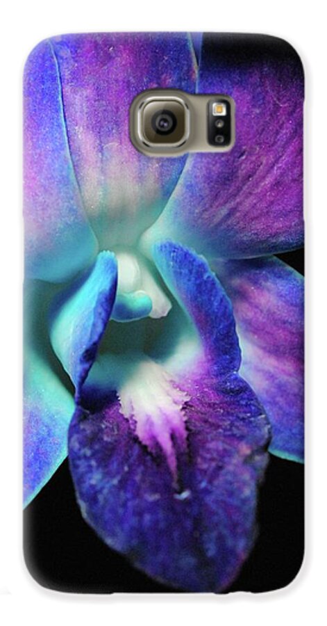 Purple Orchid Close up on Black - Phone Case