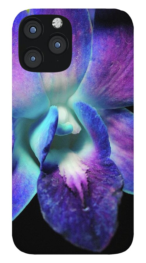 Purple Orchid Close up on Black - Phone Case
