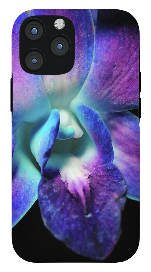 Purple Orchid Close up on Black - Phone Case