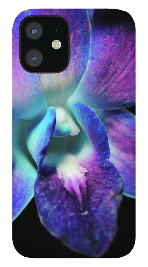 Purple Orchid Close up on Black - Phone Case