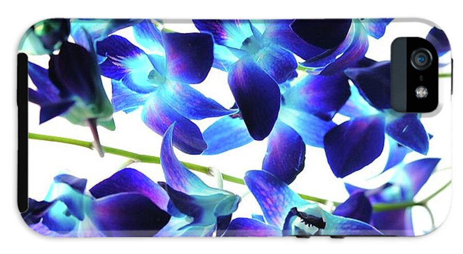 Purple Orchids - Phone Case