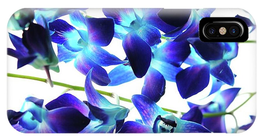 Purple Orchids - Phone Case