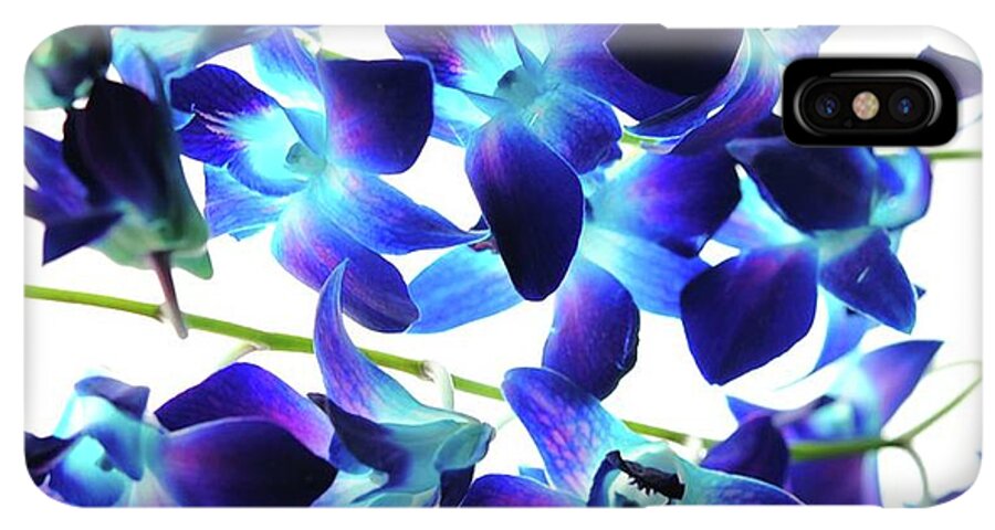 Purple Orchids - Phone Case